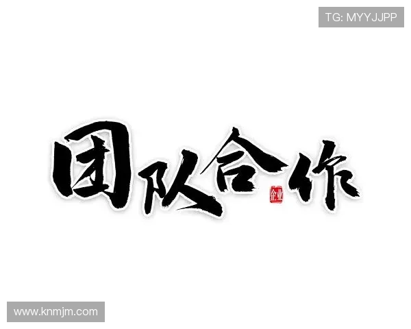 以梅斯俱乐部为核心探寻团队协作与城市体育文化发展的新路径