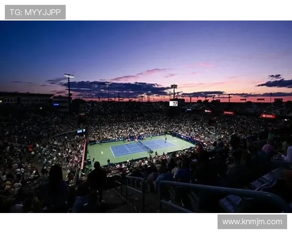 网球赛季精彩回顾：全球赛事热点与新星崛起一览